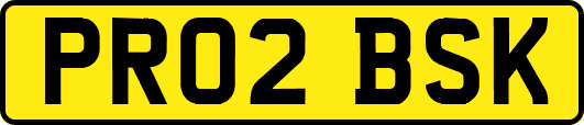 PR02BSK
