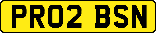 PR02BSN