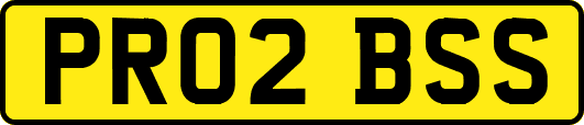 PR02BSS