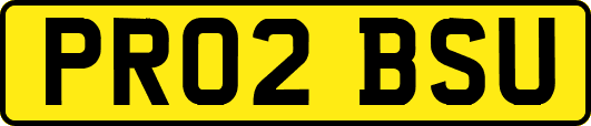 PR02BSU