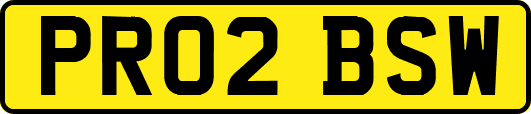 PR02BSW