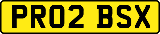 PR02BSX