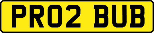 PR02BUB