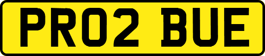 PR02BUE