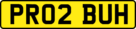 PR02BUH