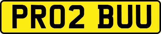 PR02BUU