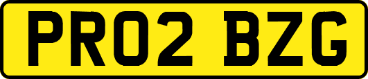 PR02BZG