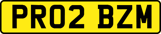 PR02BZM