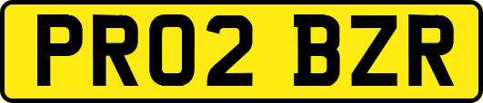 PR02BZR