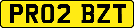 PR02BZT