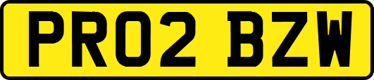 PR02BZW