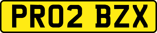 PR02BZX