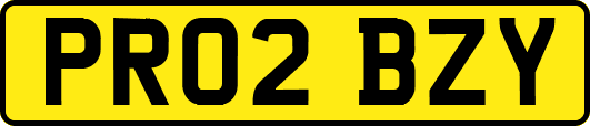 PR02BZY