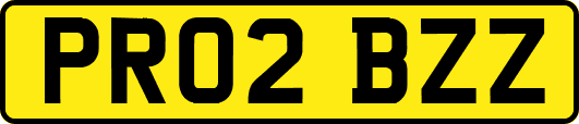 PR02BZZ