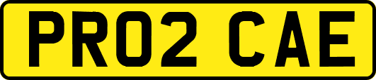 PR02CAE