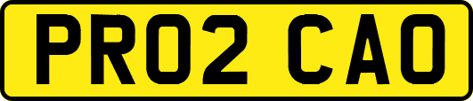 PR02CAO