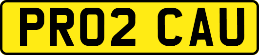 PR02CAU