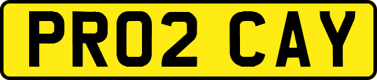 PR02CAY