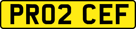 PR02CEF