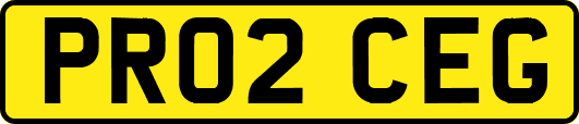 PR02CEG