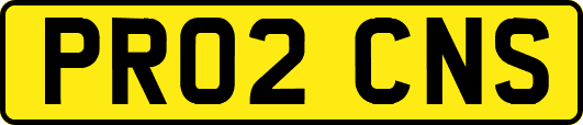 PR02CNS