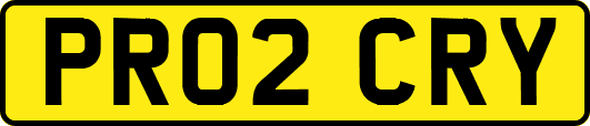 PR02CRY