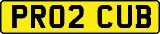 PR02CUB