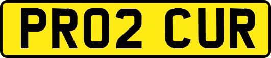 PR02CUR