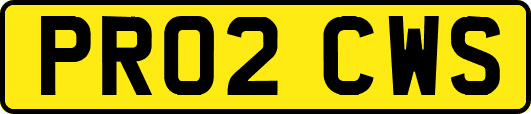 PR02CWS