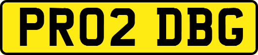 PR02DBG