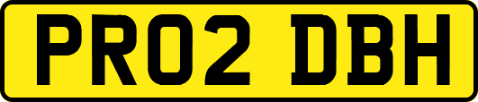PR02DBH