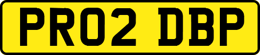PR02DBP