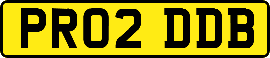 PR02DDB