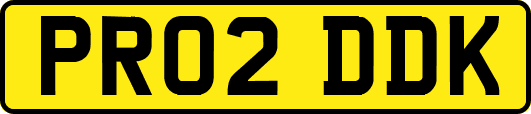 PR02DDK