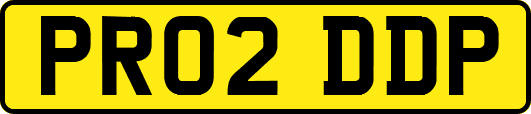 PR02DDP