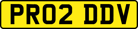 PR02DDV