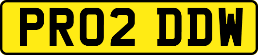 PR02DDW