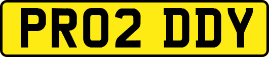 PR02DDY