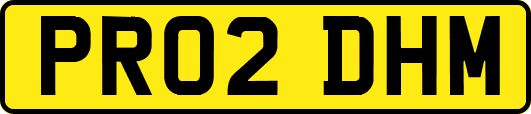 PR02DHM