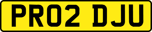 PR02DJU