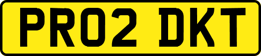PR02DKT
