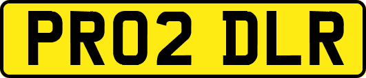 PR02DLR