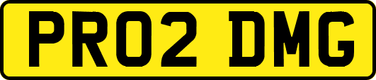 PR02DMG