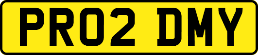PR02DMY