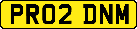 PR02DNM