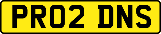 PR02DNS