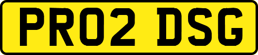 PR02DSG