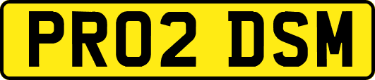 PR02DSM