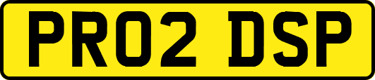 PR02DSP