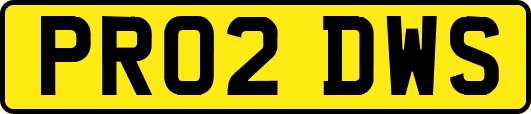 PR02DWS